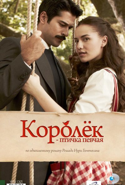 Королёк – птичка певчая онлайн бесплатно