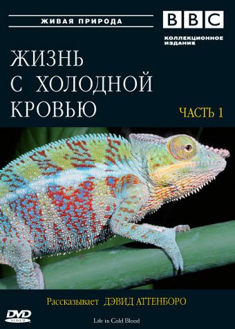 BBC: Жизнь с холодной кровью онлайн бесплатно