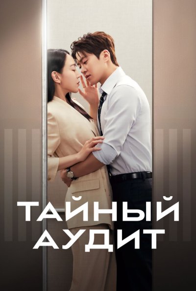 Тайный аудит